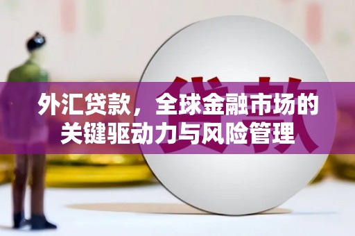 武隆外汇贷款，全球金融市场的关键驱动力与风险管理