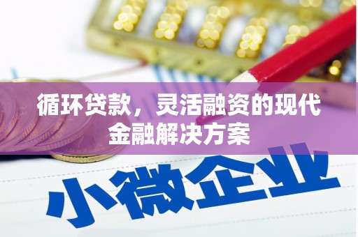 武隆循环贷款，灵活融资的现代金融解决方案