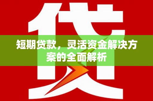 武隆短期贷款，灵活资金解决方案的全面解析