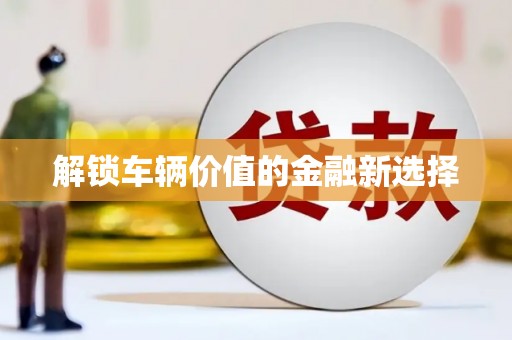 武隆解锁车辆价值的金融新选择