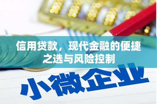 武隆信用贷款，现代金融的便捷之选与风险控制