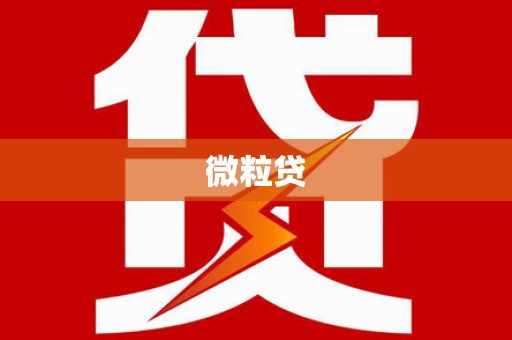 武隆微粒贷