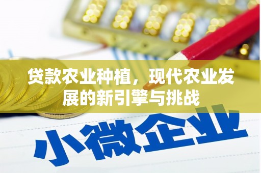 武隆贷款农业种植，现代农业发展的新引擎与挑战