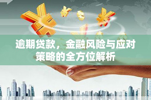 武隆逾期贷款，金融风险与应对策略的全方位解析
