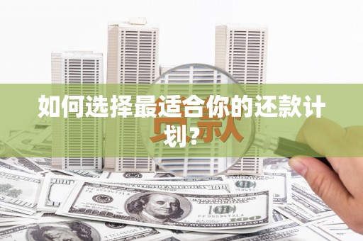 武隆如何选择最适合你的还款计划？