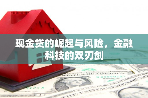 武隆现金贷的崛起与风险，金融科技的双刃剑