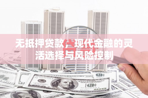 武隆无抵押贷款，现代金融的灵活选择与风险控制