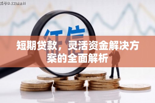 武隆短期贷款，灵活资金解决方案的全面解析