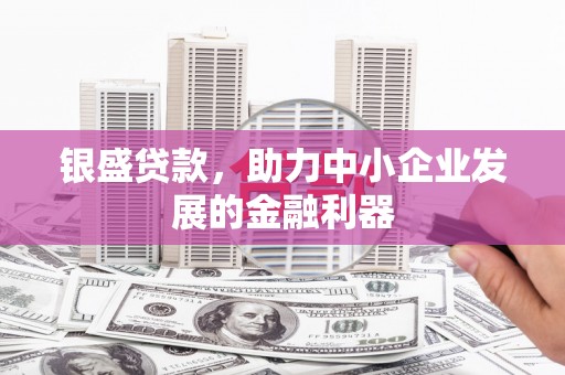 武隆银盛贷款，助力中小企业发展的金融利器