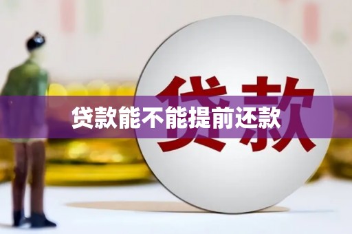 武隆贷款能不能提前还款