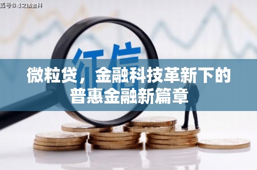 武隆微粒贷，金融科技革新下的普惠金融新篇章