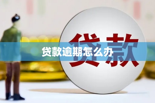 武隆贷款逾期怎么办