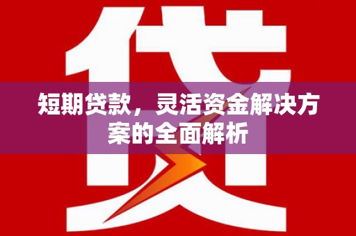 武隆短期贷款，灵活资金解决方案的全面解析
