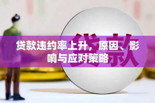 武隆贷款违约率上升，原因、影响与应对策略