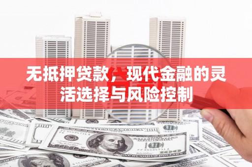 武隆无抵押贷款，现代金融的灵活选择与风险控制