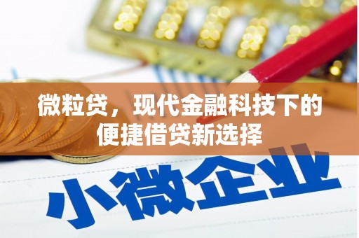 武隆微粒贷，现代金融科技下的便捷借贷新选择