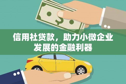 武隆信用社贷款，助力小微企业发展的金融利器