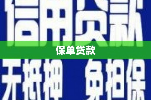 武隆保单贷款
