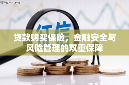 武隆贷款购买保险，金融安全与风险管理的双重保障