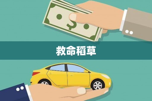 武隆救命稻草