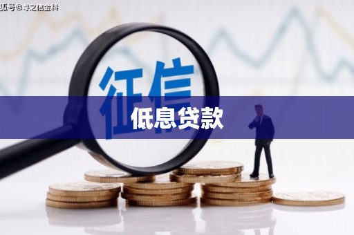 武隆低息贷款