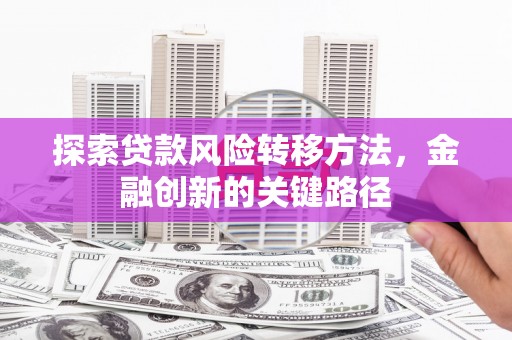 武隆探索贷款风险转移方法，金融创新的关键路径