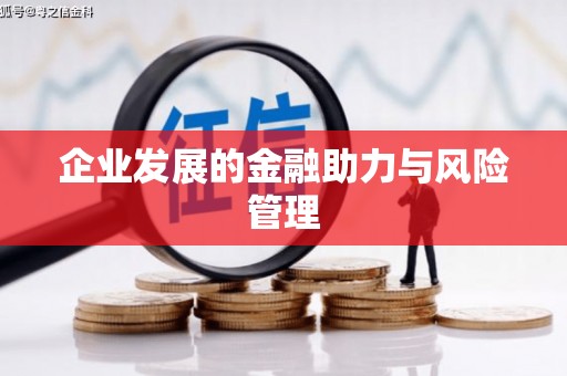 武隆企业发展的金融助力与风险管理