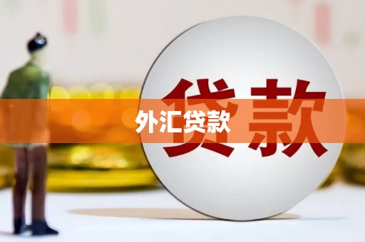 武隆外汇贷款