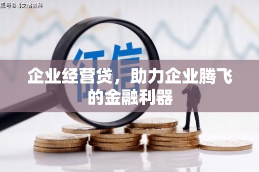 武隆企业经营贷，助力企业腾飞的金融利器