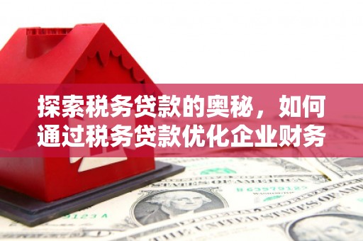 武隆探索税务贷款的奥秘，如何通过税务贷款优化企业财务