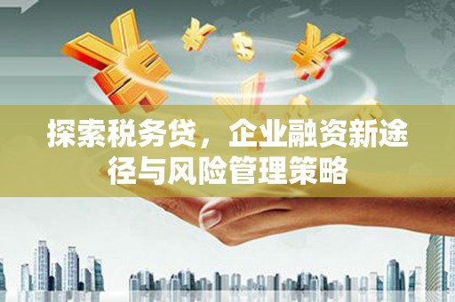 武隆探索税务贷，企业融资新途径与风险管理策略