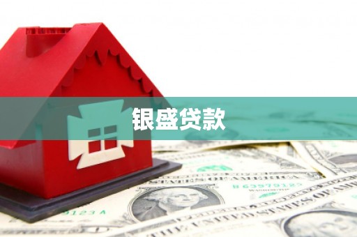 武隆银盛贷款