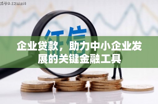 武隆企业贷款，助力中小企业发展的关键金融工具