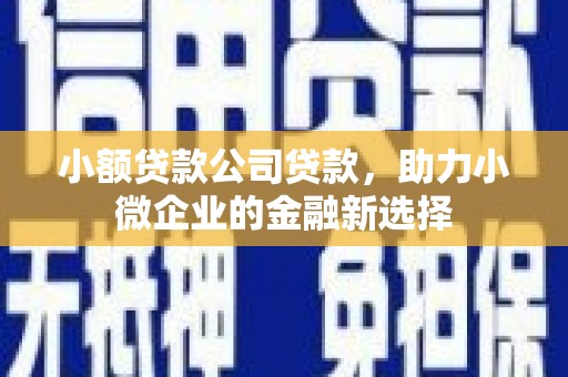 武隆小额贷款公司贷款，助力小微企业的金融新选择