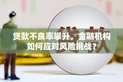 武隆贷款不良率攀升，金融机构如何应对风险挑战？