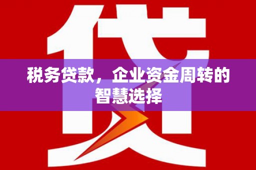 武隆税务贷款，企业资金周转的智慧选择