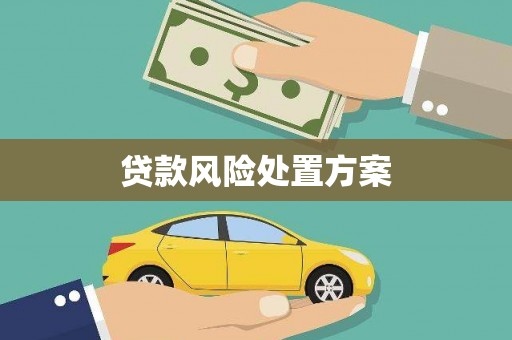 武隆贷款风险处置方案