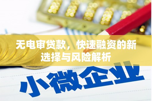 武隆无电审贷款，快速融资的新选择与风险解析