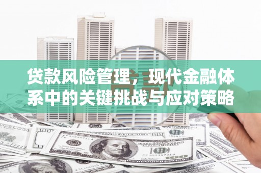 武隆贷款风险管理，现代金融体系中的关键挑战与应对策略