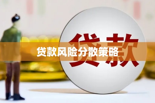 武隆贷款风险分散策略