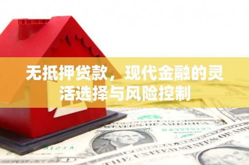 武隆无抵押贷款，现代金融的灵活选择与风险控制