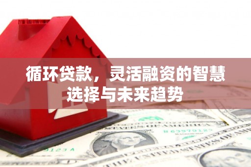 武隆循环贷款，灵活融资的智慧选择与未来趋势