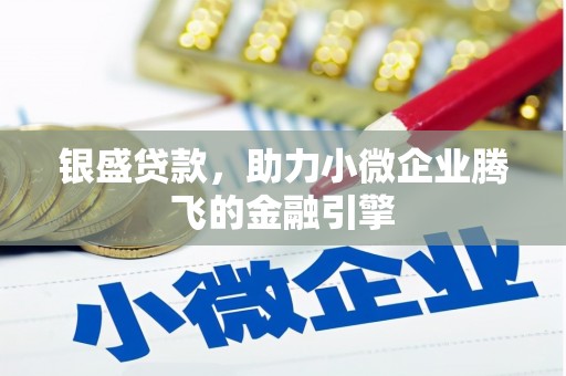 武隆银盛贷款，助力小微企业腾飞的金融引擎