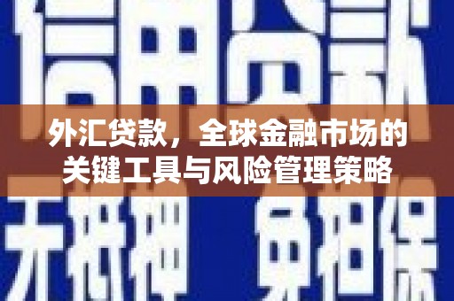武隆外汇贷款，全球金融市场的关键工具与风险管理策略