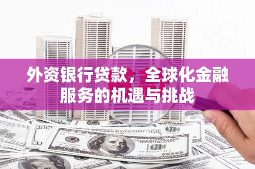 武隆外资银行贷款，全球化金融服务的机遇与挑战