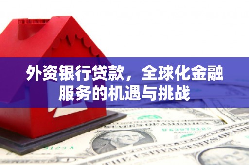 武隆外资银行贷款，全球化金融服务的机遇与挑战