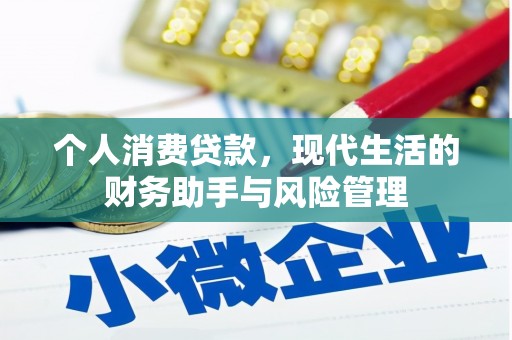 武隆个人消费贷款，现代生活的财务助手与风险管理