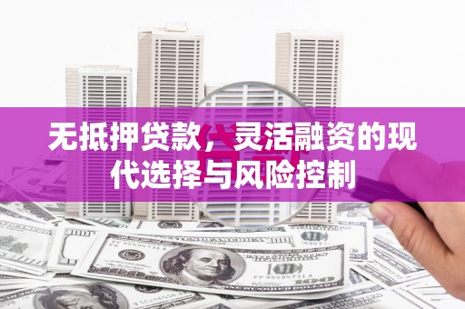 武隆无抵押贷款，灵活融资的现代选择与风险控制