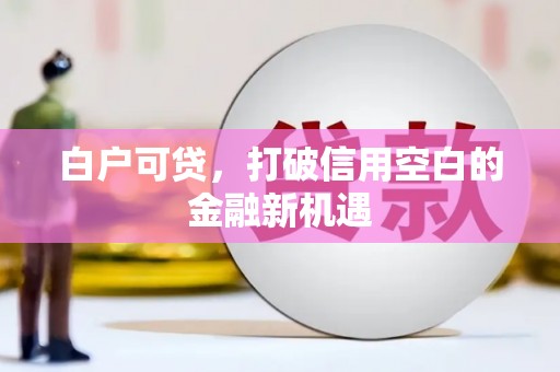 武隆白户可贷，打破信用空白的金融新机遇
