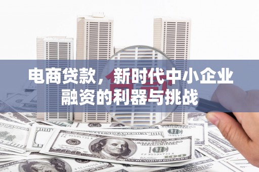 武隆电商贷款，新时代中小企业融资的利器与挑战